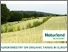 [thumbnail of Design ohne Titel(7).jpg]