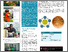 [thumbnail of Factsheet SuLIA_Retailer Campaign.pdf]