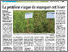 [thumbnail of Agri_La protéine risque de manquer cet hiver_2024.07.12.pdf]