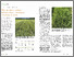 [thumbnail of luomulehti 6_2024.pdf]
