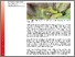 [thumbnail of Gemüsebau Info_22_2025..pdf]