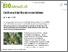 [thumbnail of berbain-2025-bioaktuellch_Die-Olive-schlaegt-Wurzeln-in-der-Schweiz.pdf]