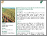 [thumbnail of Practice Abstracts]