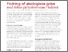 [thumbnail of Faktaark_ORIGIN.pdf]