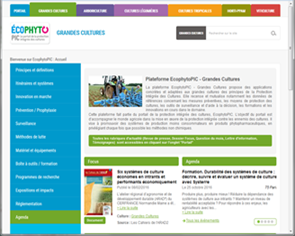 ECOPHYTOPIC – Das Portal für integrierten Pflanzenschutz im Ackerbau