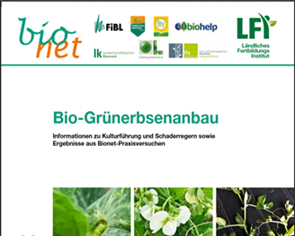 Βιολογική Καλλιέργεια Πράσινο Μπιζέλια