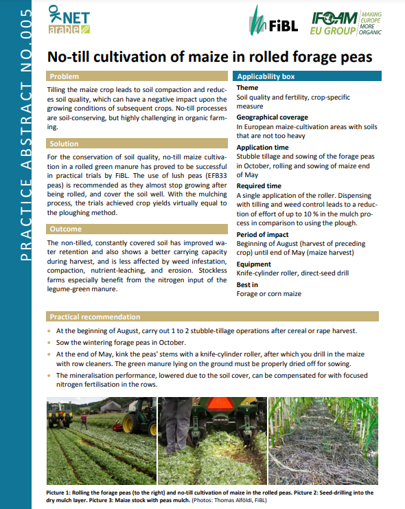 No-till cultivation of maize in rolled forage peas (OK-Net Arable Practice Abstract)