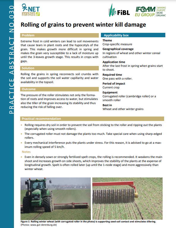 Laminación de granos para evitar daños por muerte invernal (Resumen de prácticas de cultivo de OK-Net)