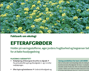 Growing cover crops in organic arable crop rotations: best practices from Denmark