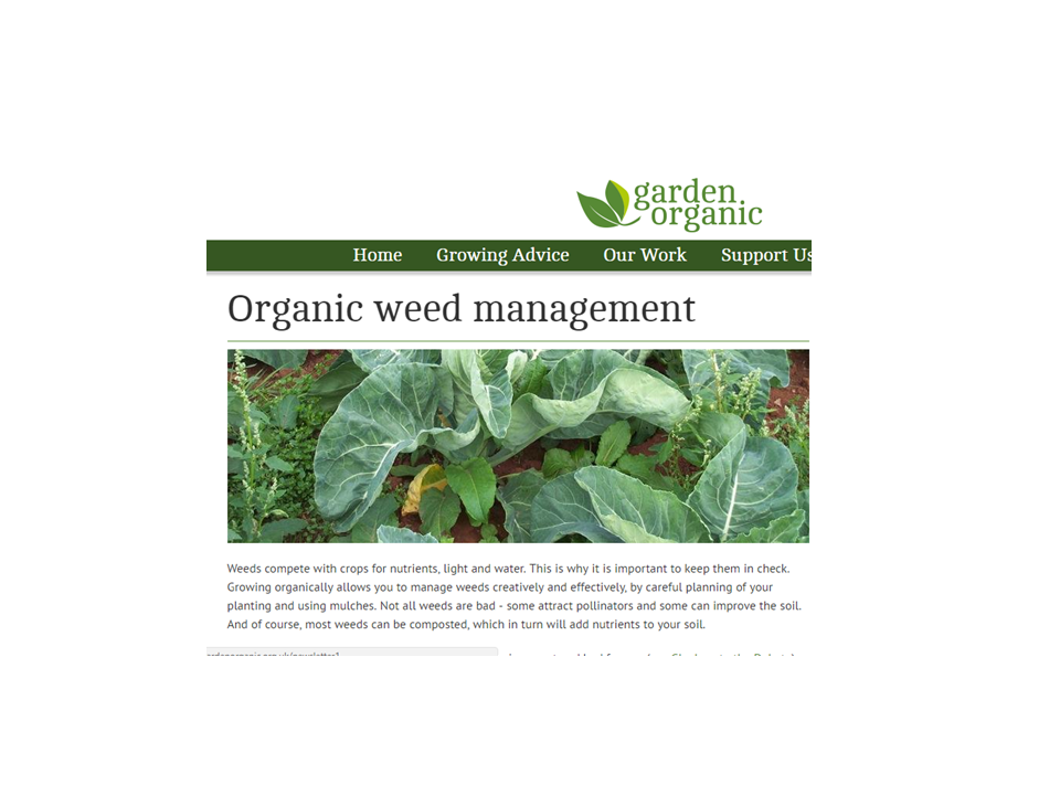Organic Weed Management