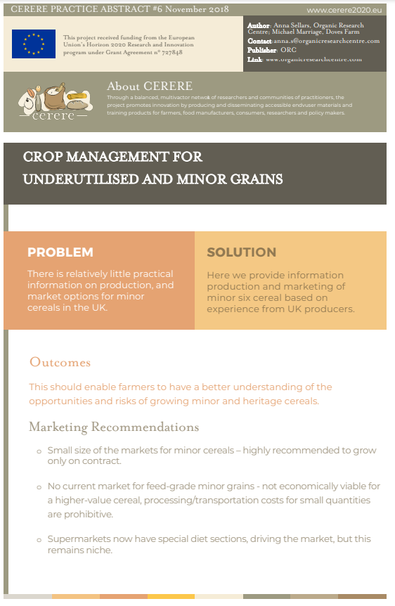 Manejo de cultivos para cereales menores o subutilizados (Resumen de prácticas de Cerere)