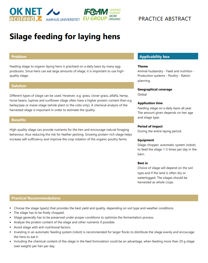 Alimentation en ensilage pour poules pondeuses (OK-Net Ecofeed Practice Abstract)