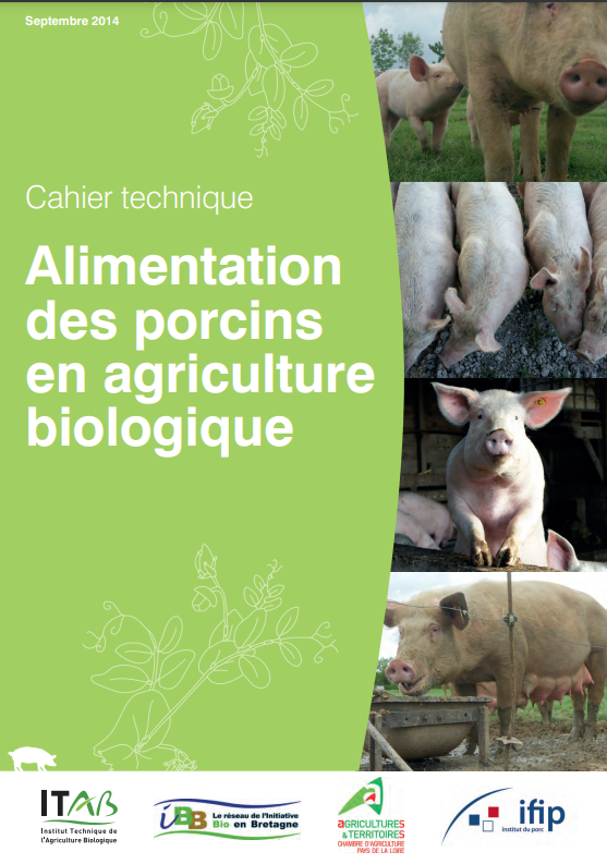Varkens voeren in de biologische landbouw