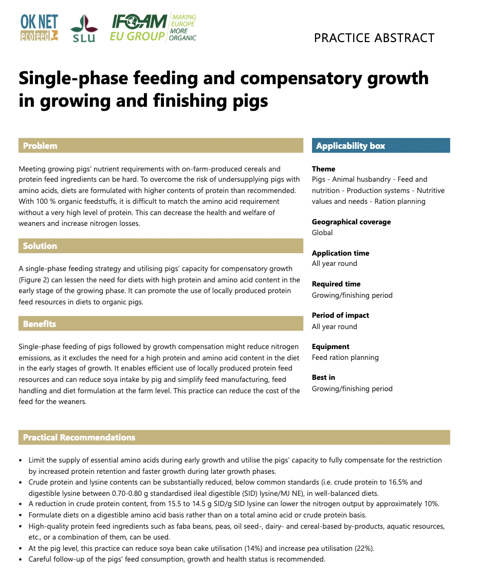 Alimentación monofásica y crecimiento compensatorio en cerdos en crecimiento y engorde (Resumen de prácticas de OK-Net Ecofeed)