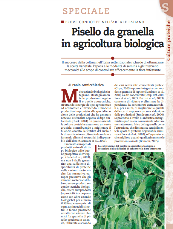 Grain Pea in Organic Farming