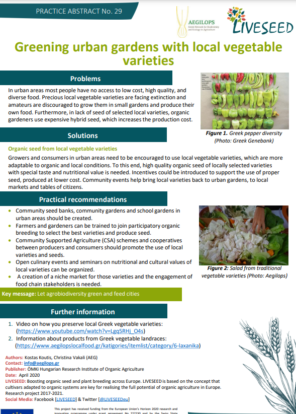 Ecologización de huertos urbanos con variedades de hortalizas locales (Resumen de prácticas de Liveseed)
