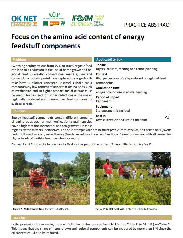 Focus on the amino acid content of energy feedstuff components (OK-Net Ecofeed Practice Abstract)