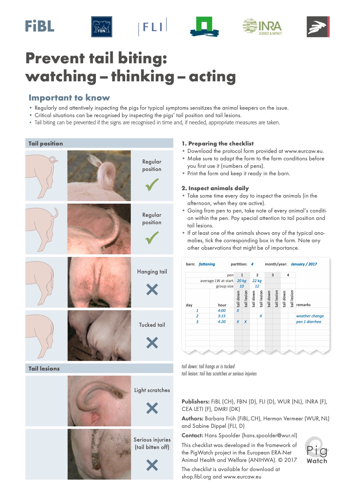 Prevent tail biting: watching – thinking – acting
