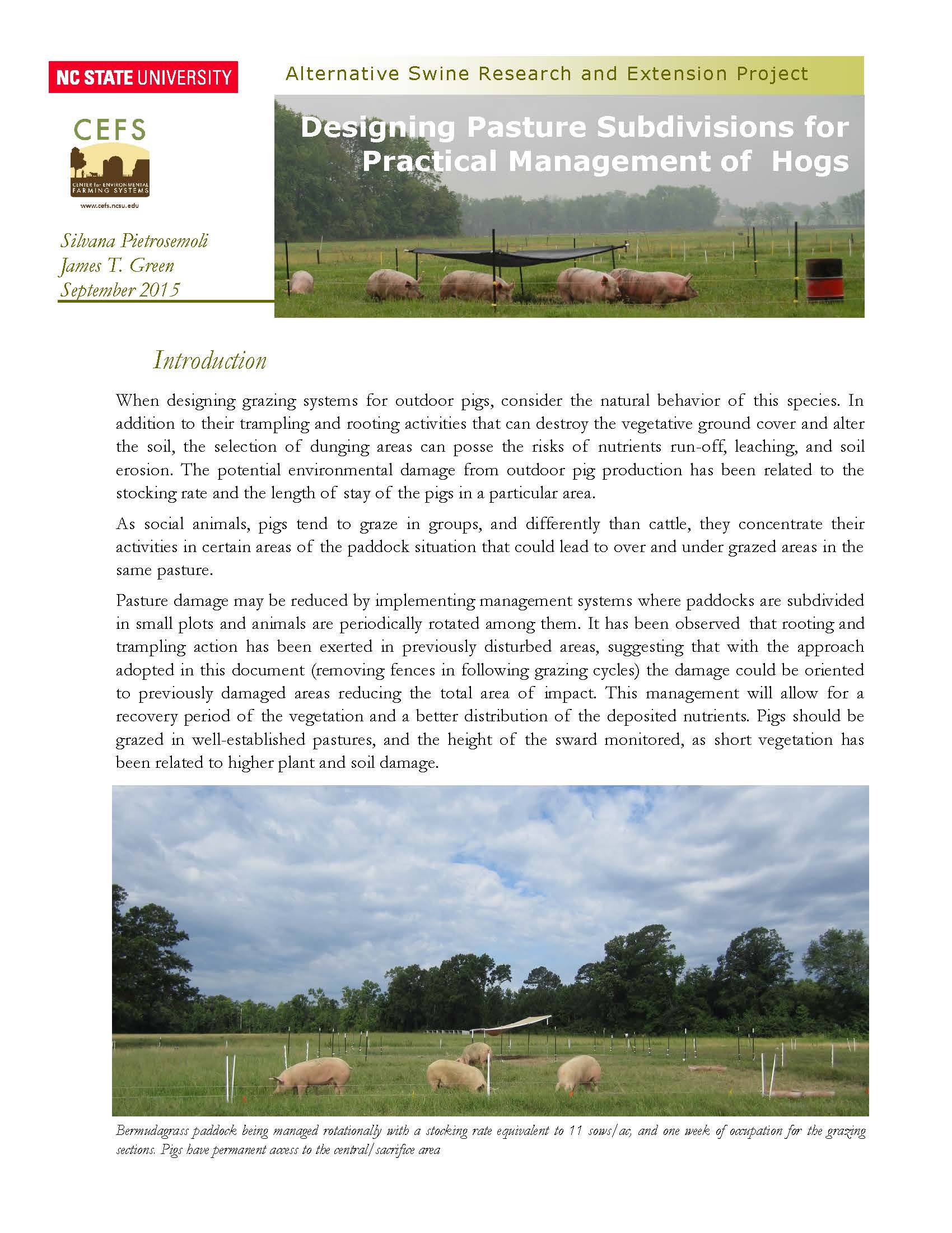 Designing pasture subdivisions for practical management of hogs