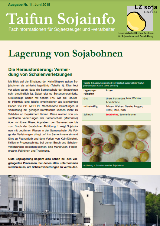 Storage of soybeans