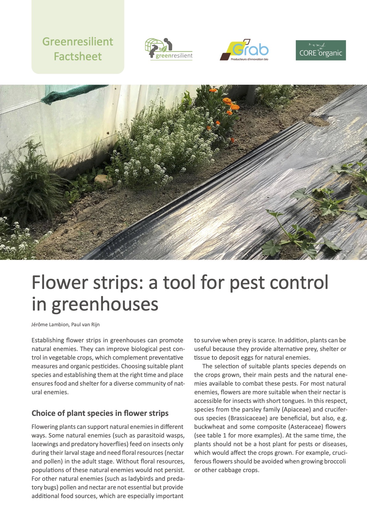 Flower strips: a tool for pest control in greenhouses (Greenresilient Factsheet)