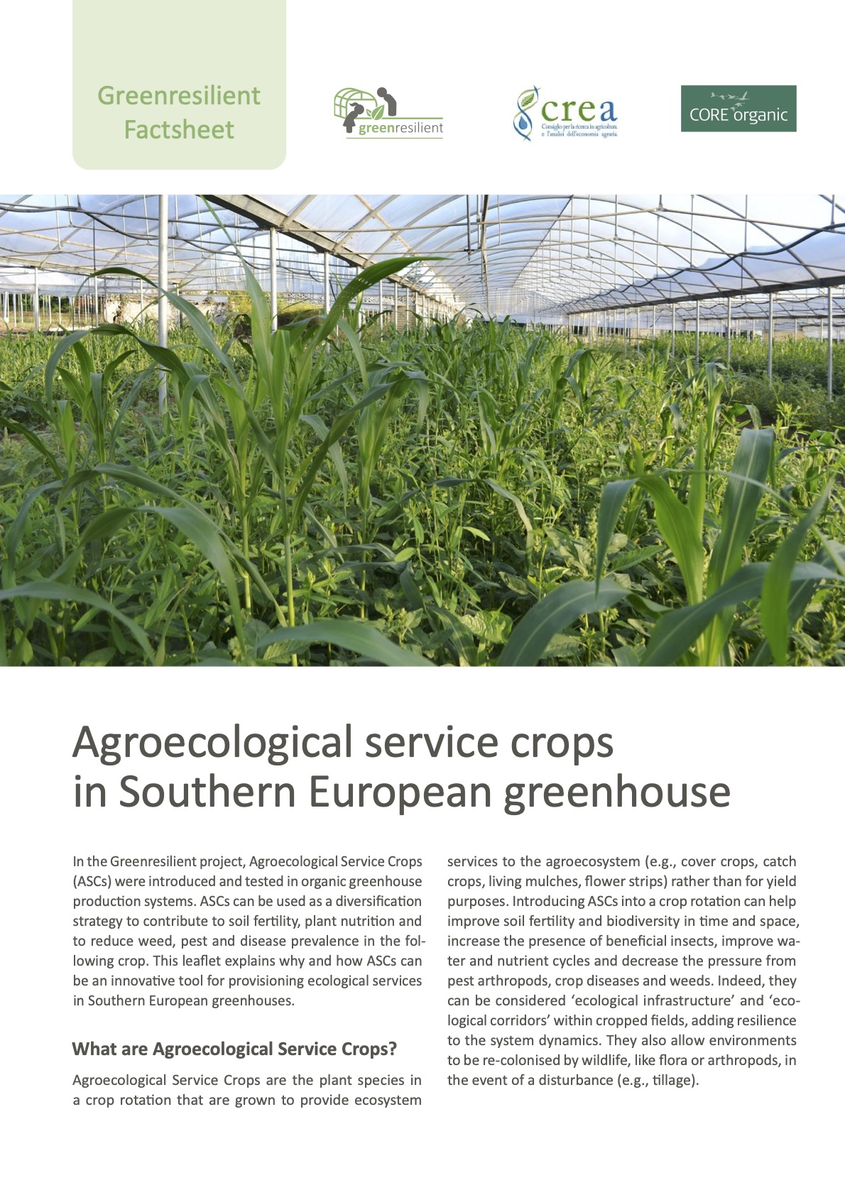Cultivos de servicios agroecológicos en invernaderos del sur de Europa (Ficha informativa Greenresilient)