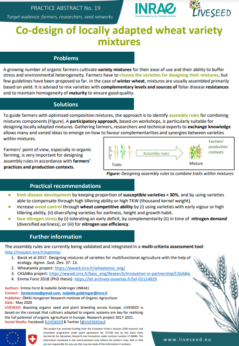 Co-design of locally adapted wheat variety mixtures (Liveseed Practice Abstract)