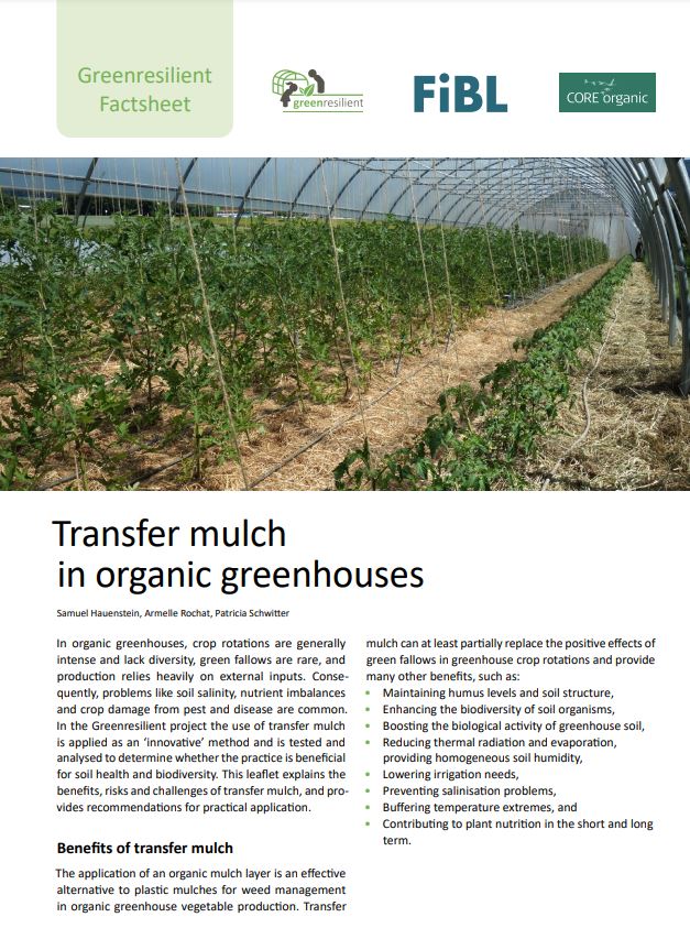 Transfer mulch in organic greenhouses (Greenresilient Factsheet)