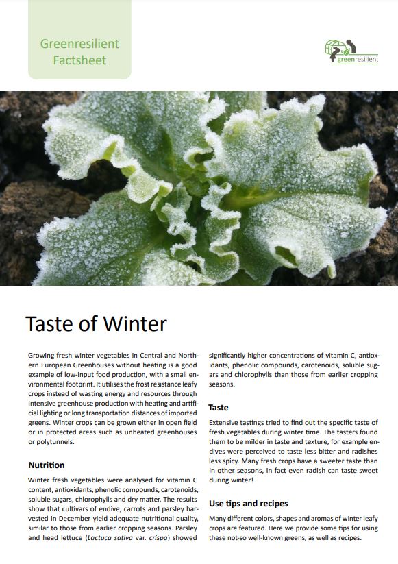 Вкусът на зимата (информационен лист за Greenresilient)