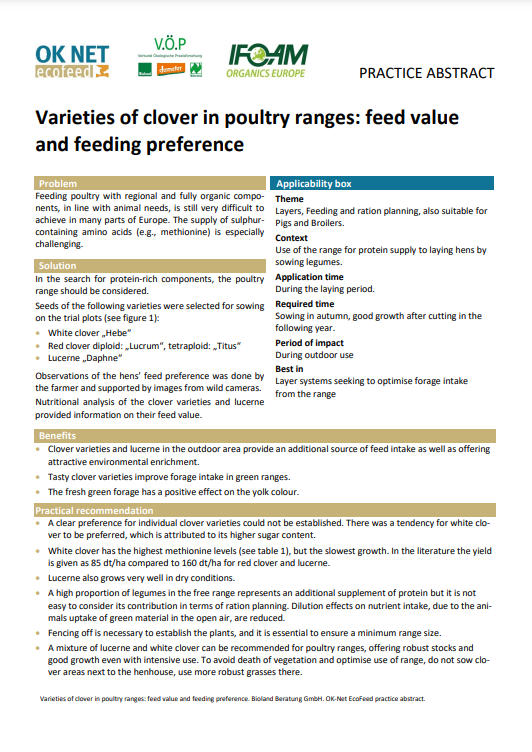 Varietà di trifoglio nelle gamme di pollame: valore del mangime e preferenza alimentare (OK-Net Ecofeed Practice Abstract)