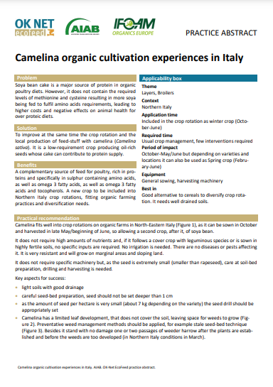 Zkušenosti s organickým pěstováním Camelina v Itálii (shrnutí praxe OK-Net EcoFeed)