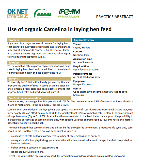 Utilisation de caméline biologique dans l'alimentation des poules pondeuses (résumé OK-Net EcoFeed Practice)