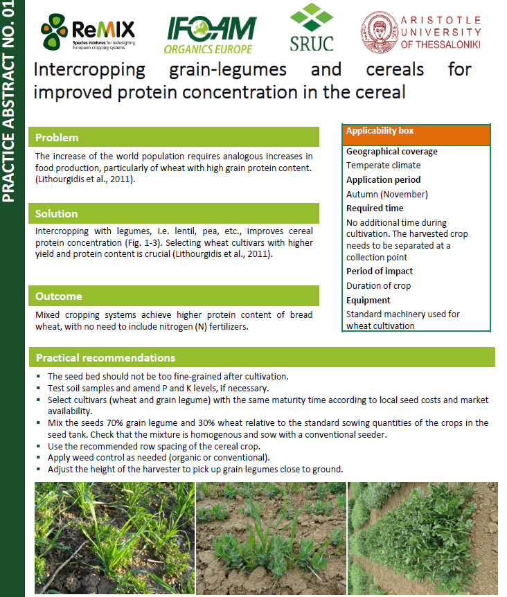 Intercropping grain-legumes and cereals for improved protein concentration in the cereal (ReMIX Practice Abstract)