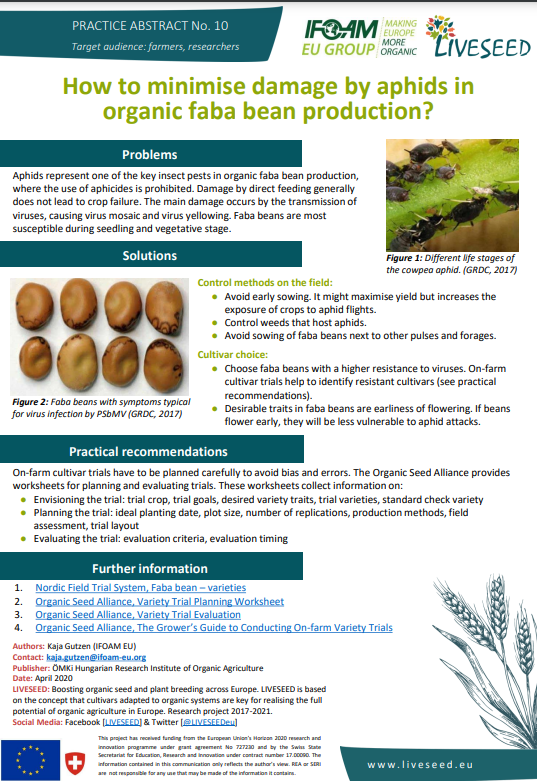 How to minimise damage by aphids in organic faba bean production? (Liveseed Practice Abstract)