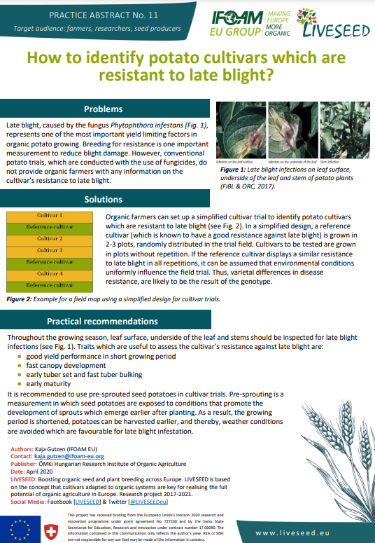 Hogyan lehet azonosítani azokat a burgonyafajtákat, amelyek ellenállnak a késői fertőzésnek? (Liveseed Practice absztrakt)