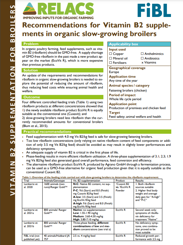 Recomendaciones para suplementos de vitamina B2 en pollos de engorde orgánicos de crecimiento lento (Resumen de práctica de RELACS)