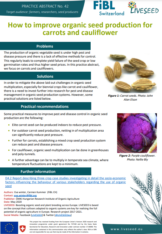Cómo mejorar la producción orgánica de semillas de zanahorias y coliflor (resumen de Liveseed Practice)
