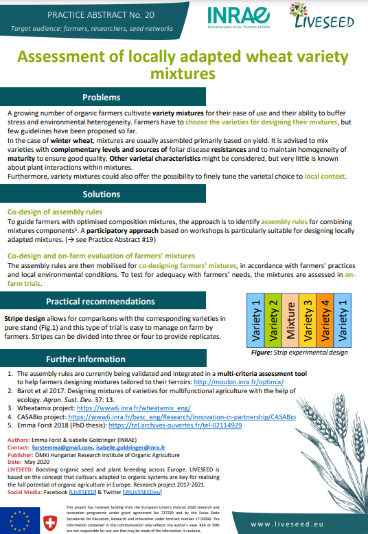 Оценка на смеси от сортове пшеница, адаптирани към местни условия (Резюме на практиките за живи семена)