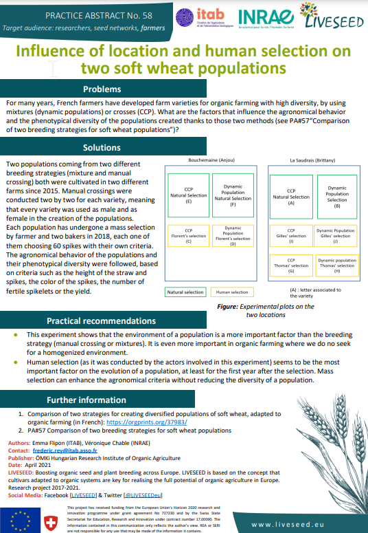 Influence de la localisation et de la sélection humaine sur deux populations de blé tendre (Liveseed Practice Abstract)