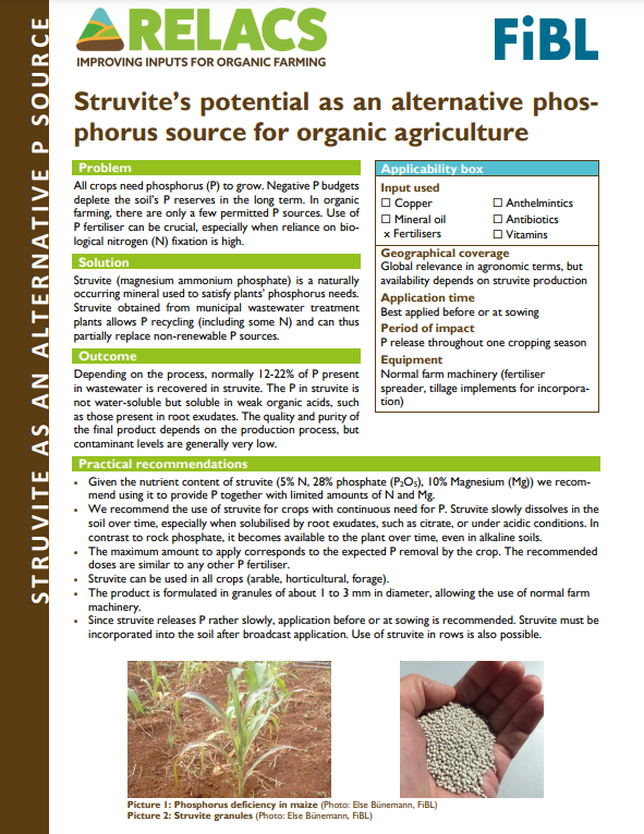 Potentieel van Struviet als alternatieve fosforbron voor biologische landbouw (RELACS Practice abstract)
