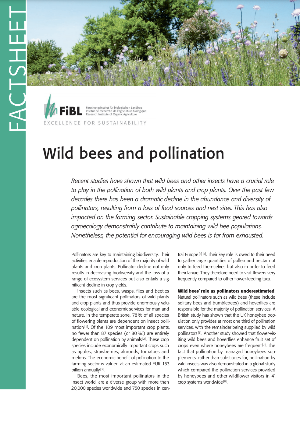 Wild bees and pollination