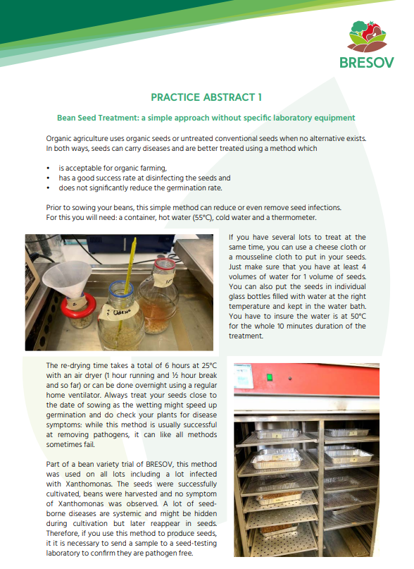 Tratamiento de semillas de frijol: un enfoque sencillo sin equipo de laboratorio específico (Resumen de práctica de BRESOV)