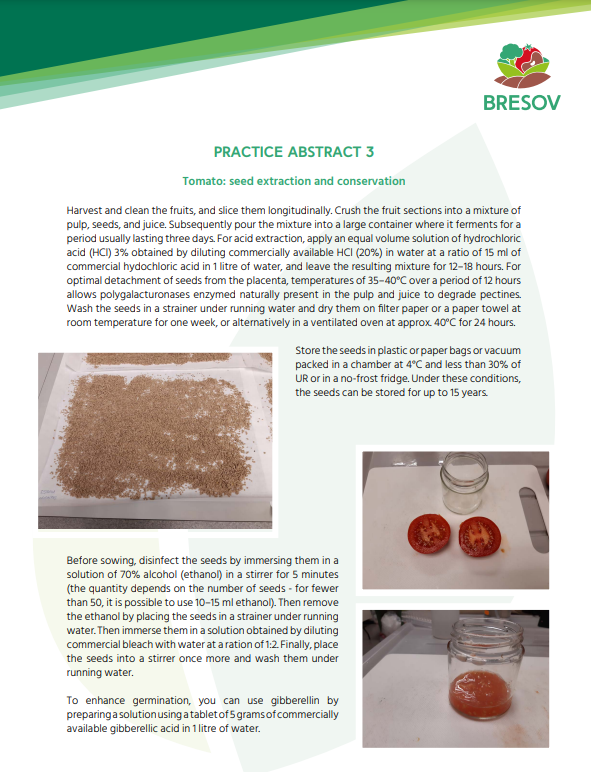 Pomodoro: estrazione e conservazione dei semi (BRESOV Practice Abstract)