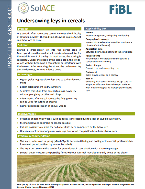 Подпосяване на лея при зърнени култури (резюме от практиката на SolACE)