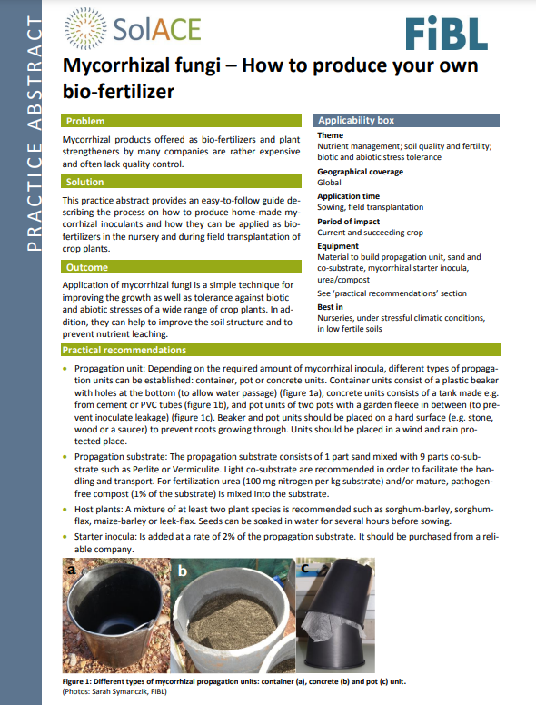 Mycorrhizal fungi – How to produce your own bio-fertilizer (SolACE Practice abstract)