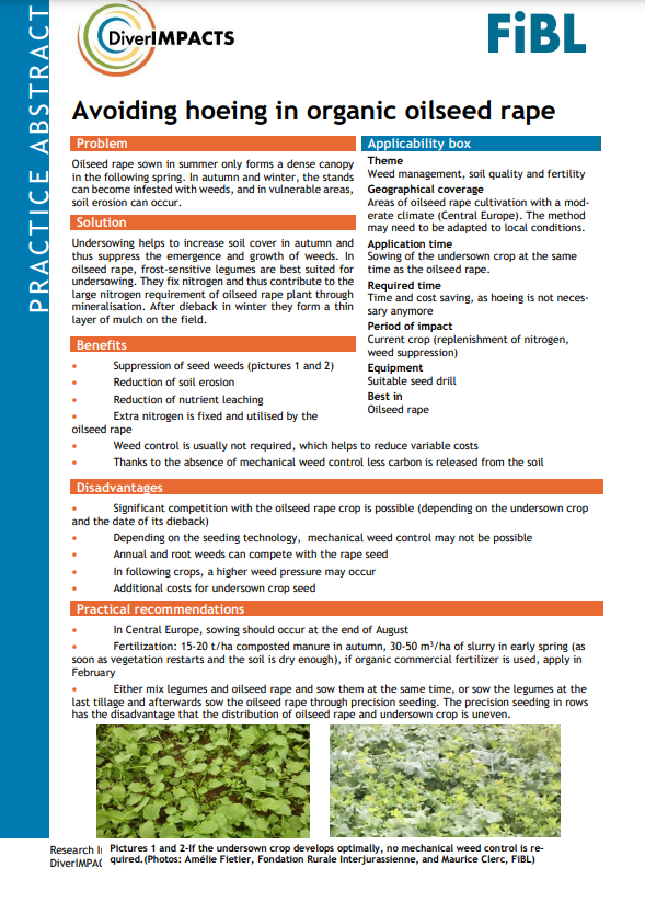 Evitar el uso de azada en colza orgánica (Resumen de práctica de DiverIMPACTS)