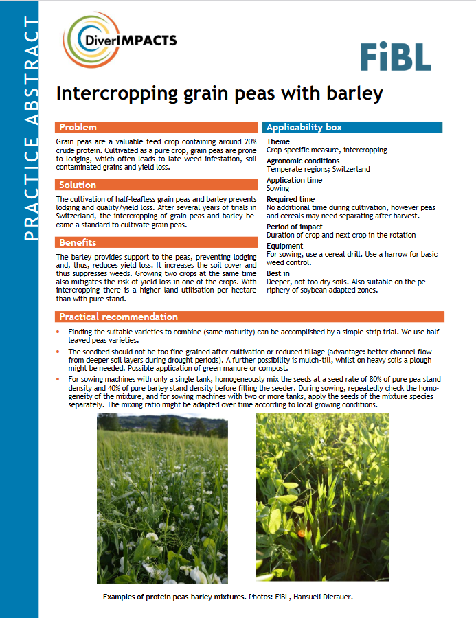 Intercropping grain peas with barley (DiverIMPACTS Practice Abstract)