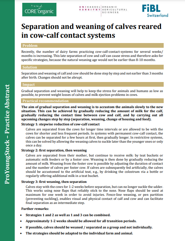 Separation and weaning of calves reared in cow-calf contact systems (ProYoungStock - Practice abstract)