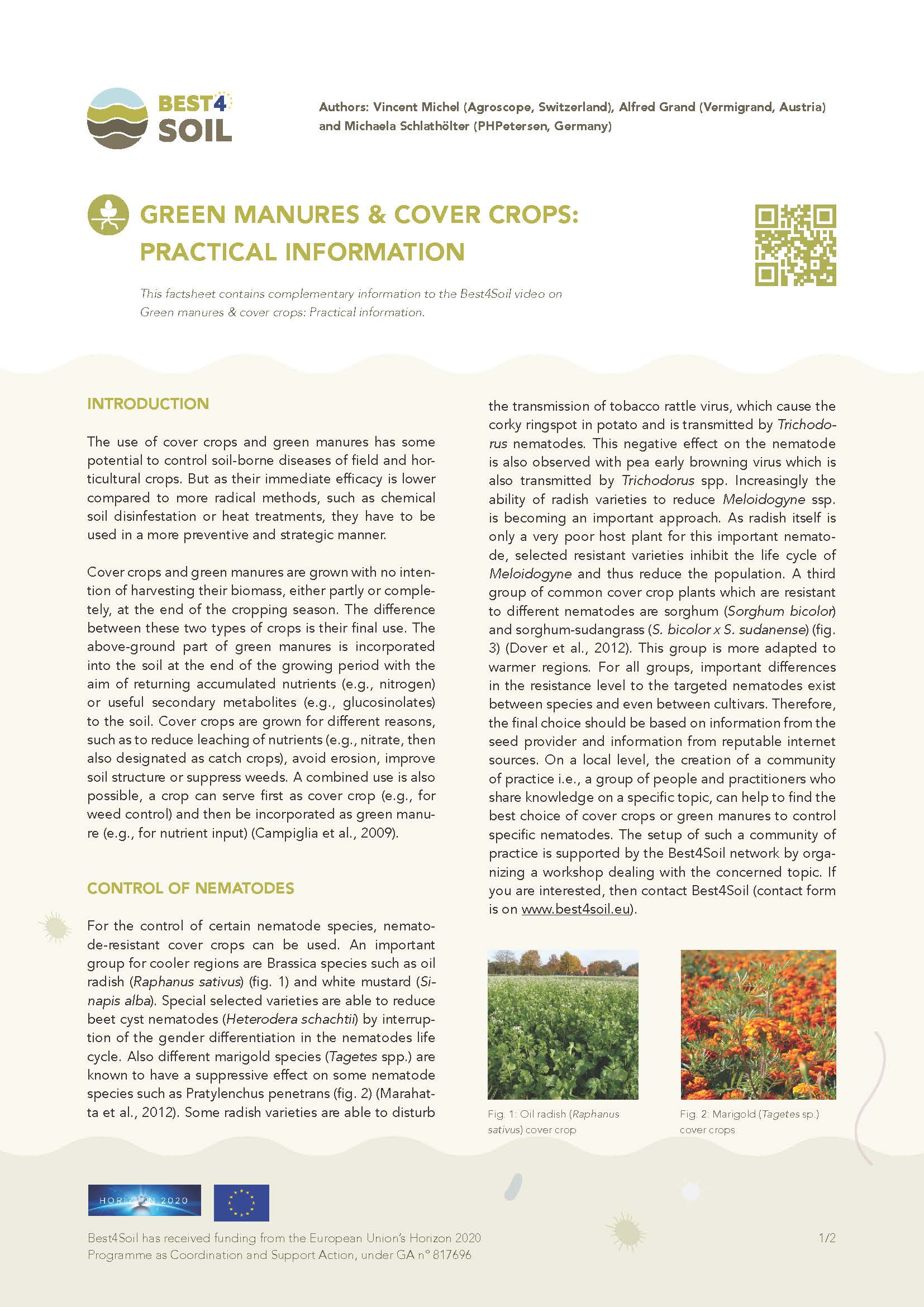 Concimi verdi e colture di copertura: informazioni pratiche (Scheda informativa Best4Soil)