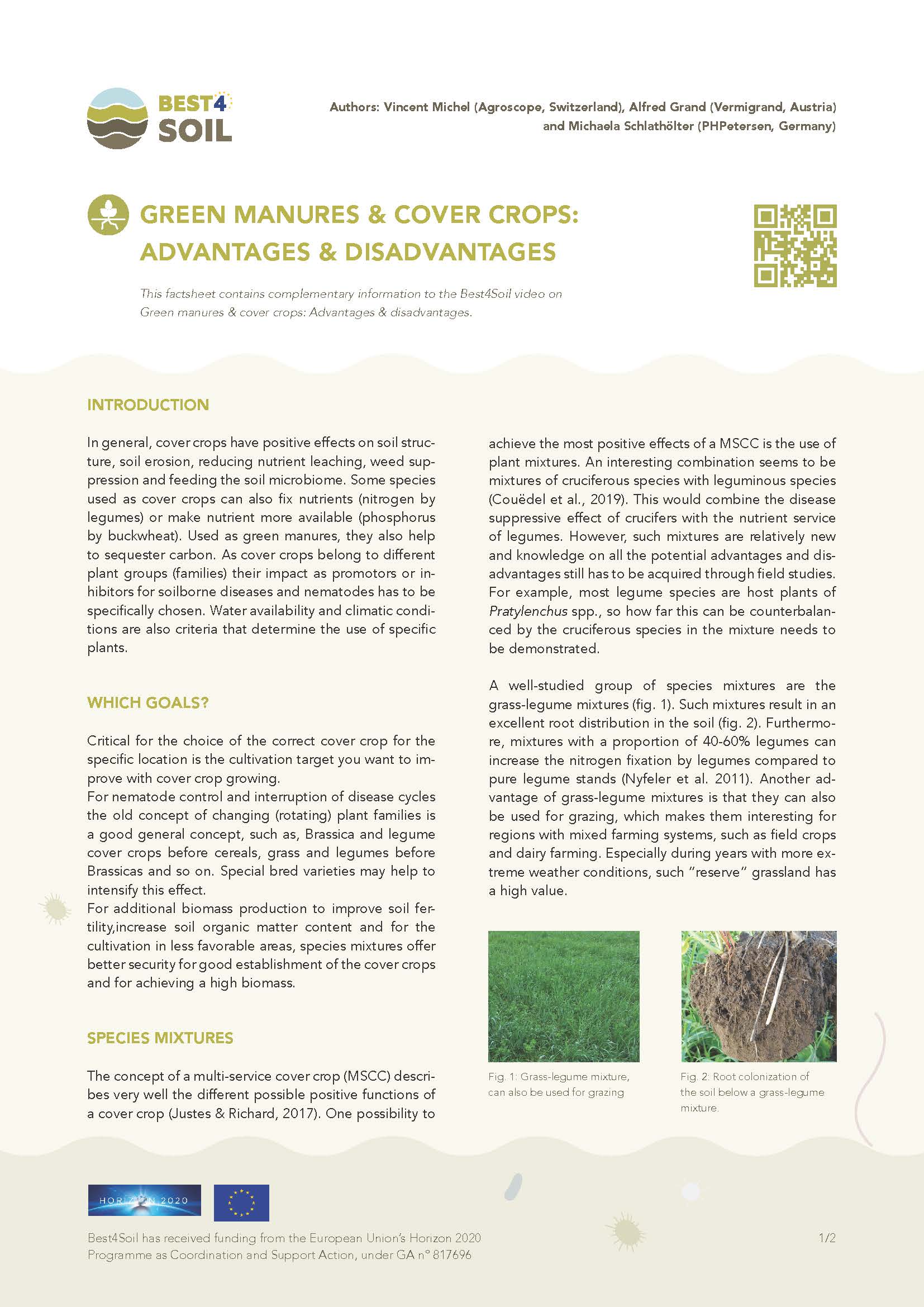 Concimi verdi e colture di copertura: vantaggi e svantaggi (scheda informativa Best4Soil)